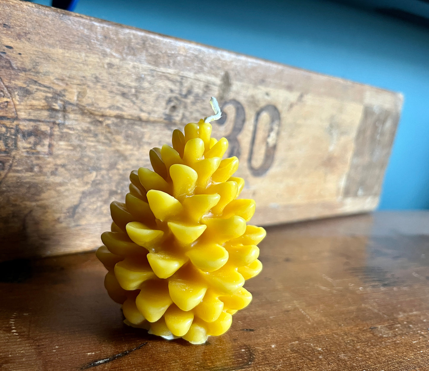 Pine Cone Beeswax Candle