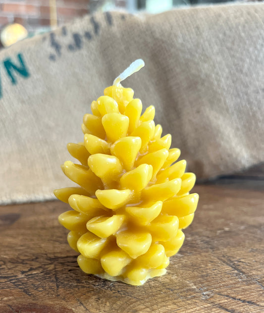 Pine Cone Beeswax Candle